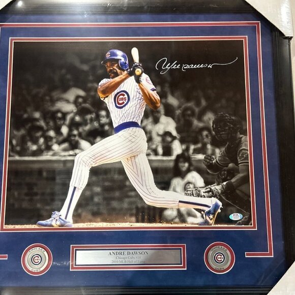 Andre Dawson autograph signed Chicago Cubs 16x20 photo framed PSA - Picture 1 of 4